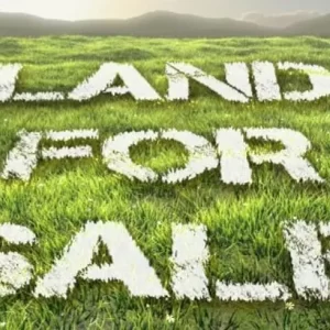 A Guide To Buying Land In Kenya