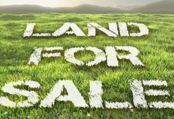 A Guide To Buying Land In Kenya